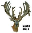 AI Sire - Maxbo