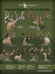 Four Canyons Ranch - Texas Whitetail Breeding